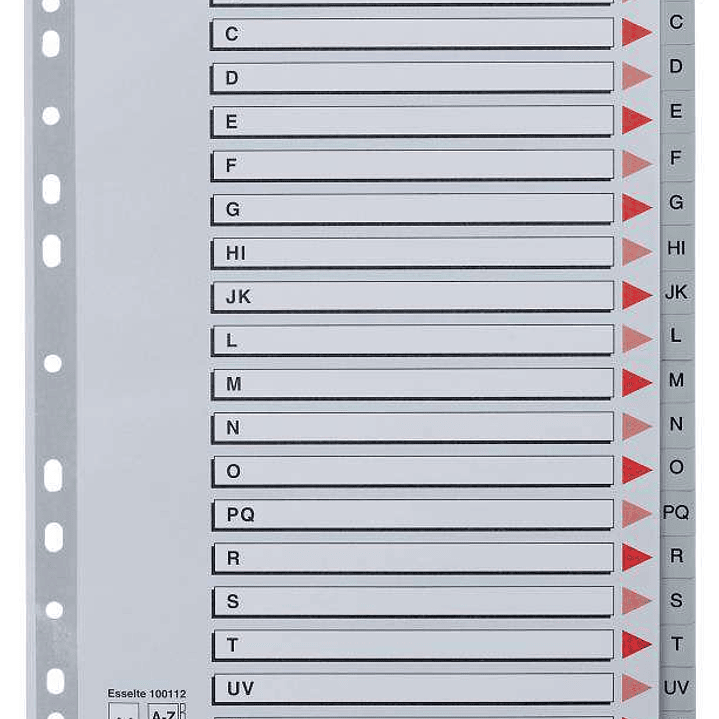 Esselte Indice Abecedario de Plastico con Caratula A4 - Tipo A-Z - Cartulina Indice: Carton Gris - Material PP - Tamaño A4 - Multitaladro - Presentaci 1