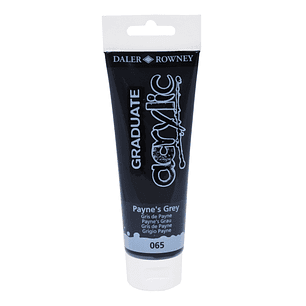 Daler Rowney Graduate Pintura Acrilica - Tubo de Plastico - 120ml - Color Gris de Payne