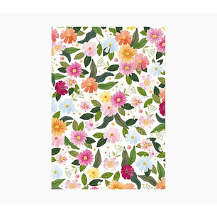 Pictura Cuaderno A6 - 105x150mm - 48 Paginas con Lineas - Papel con Certificacion FSC