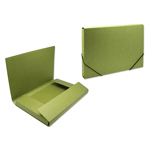 Bismark Carpeta para Proyectos - Medidas 350x230x30mm - Fabricada en Carton - Cierre con Gomas - Color Verde