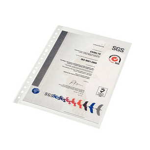 Esselte Funda Porta Documentos Folio - PP - Piel de Naranja - Calidad Estandar Multitaladro-16 - Bolsa 10 - Transparente