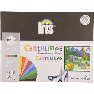 Canson Guarro Minipack de 10 Cartulinas Iris A4+ 185g - 24x32 cm - Colores Surtidos