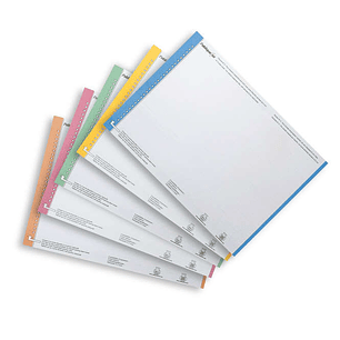 Elba Bristol Hoja 10 Etiquetas para Carpeta Colgante N°0 - Resistente - Tamaño Adecuado - Colores Surtidos