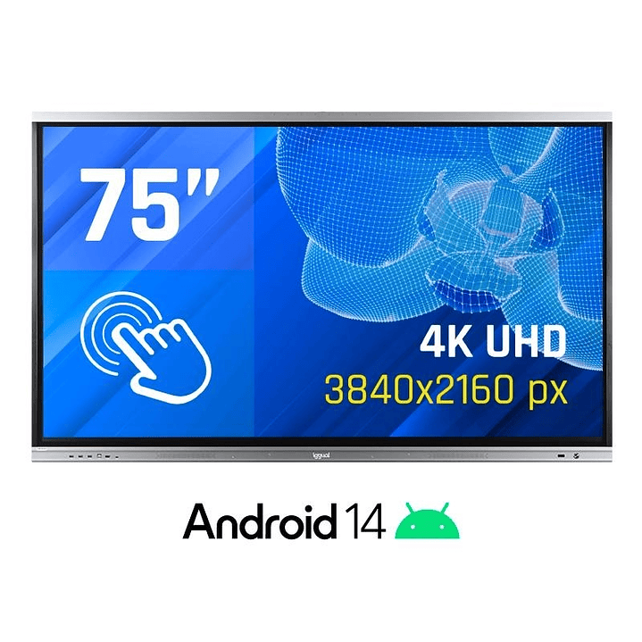 iggual Pantalla interactiva 4K ORCHID 75