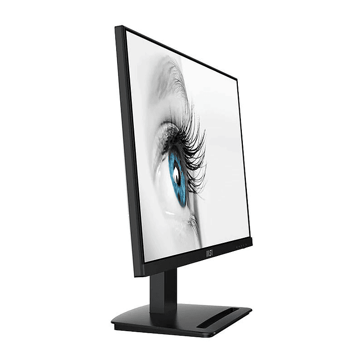 MSI MP243X Monitor 23.8