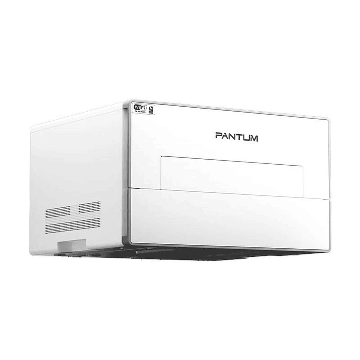 Pantum Impresora Láser BP4200DW 4