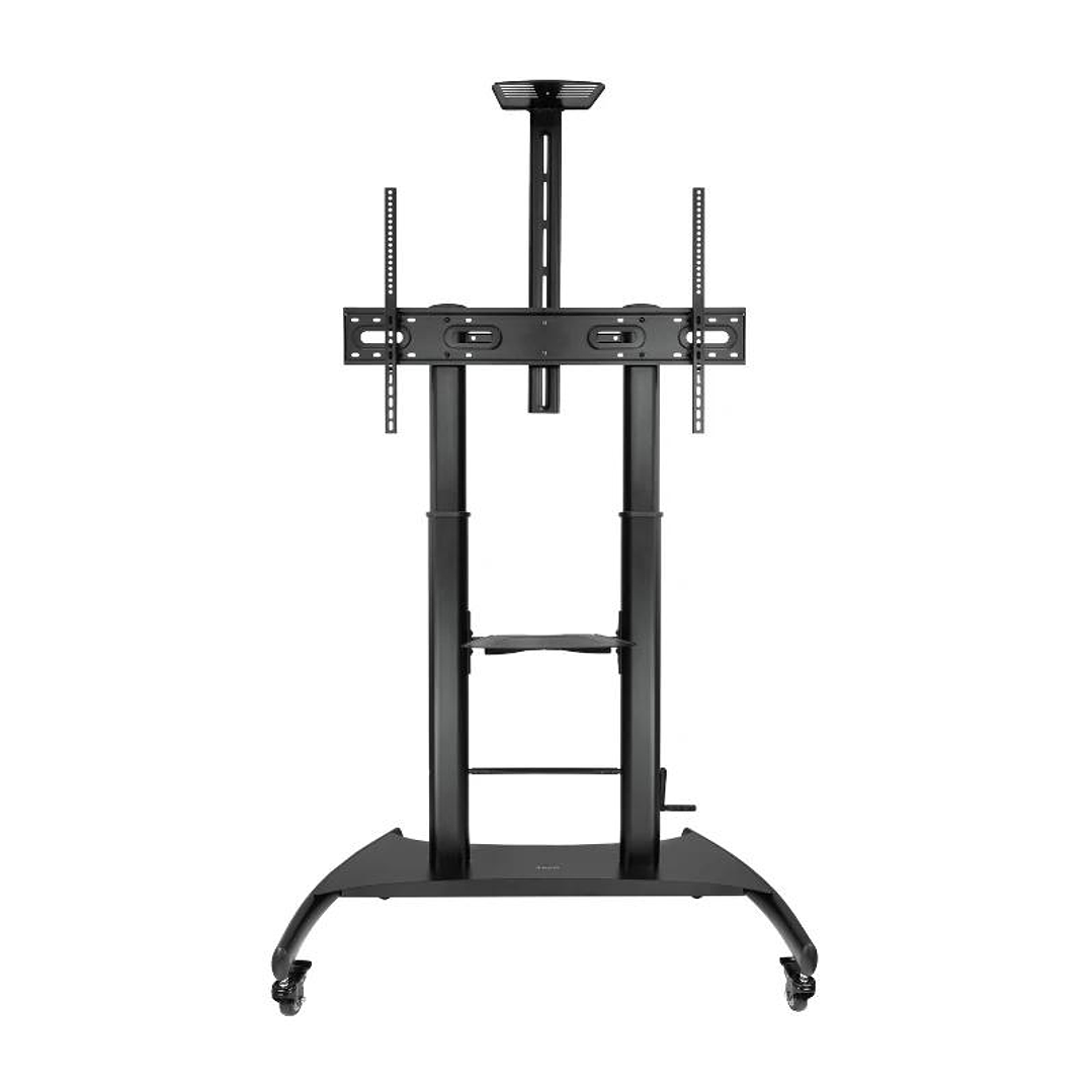 Tooq Soporte Suelo/Pared fijo HIPERION 55