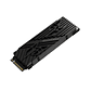 ACER PREDATOR SSD GM-7000 HS 2Tb PCIe NVMe Gen4 - thumbnail 2
