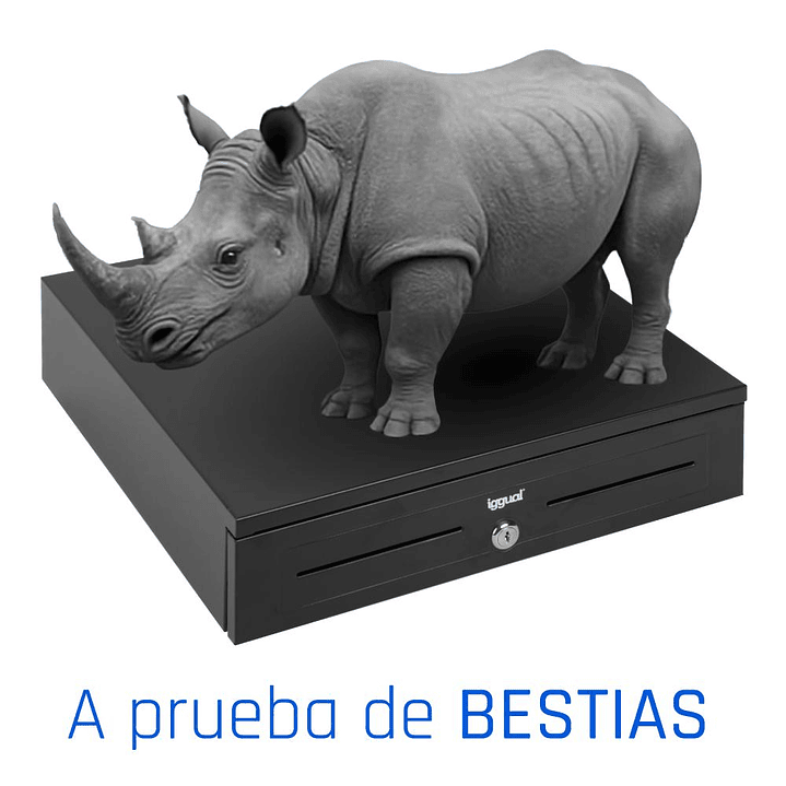 iggual Cajón portamonedas IRON-HD 41cm 5+8 negro 3