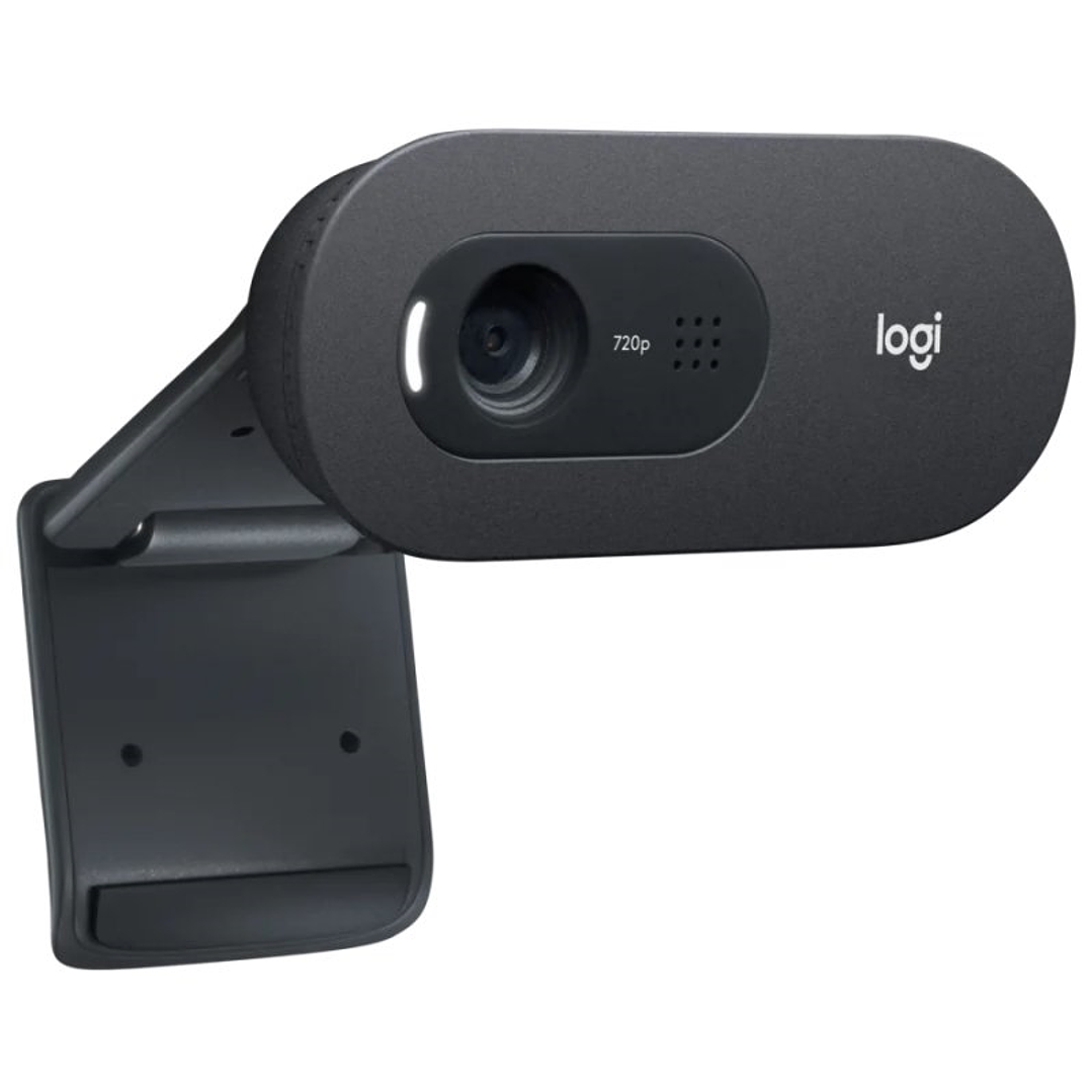 Logitech Webcam c505E 1280*720 Negro 1