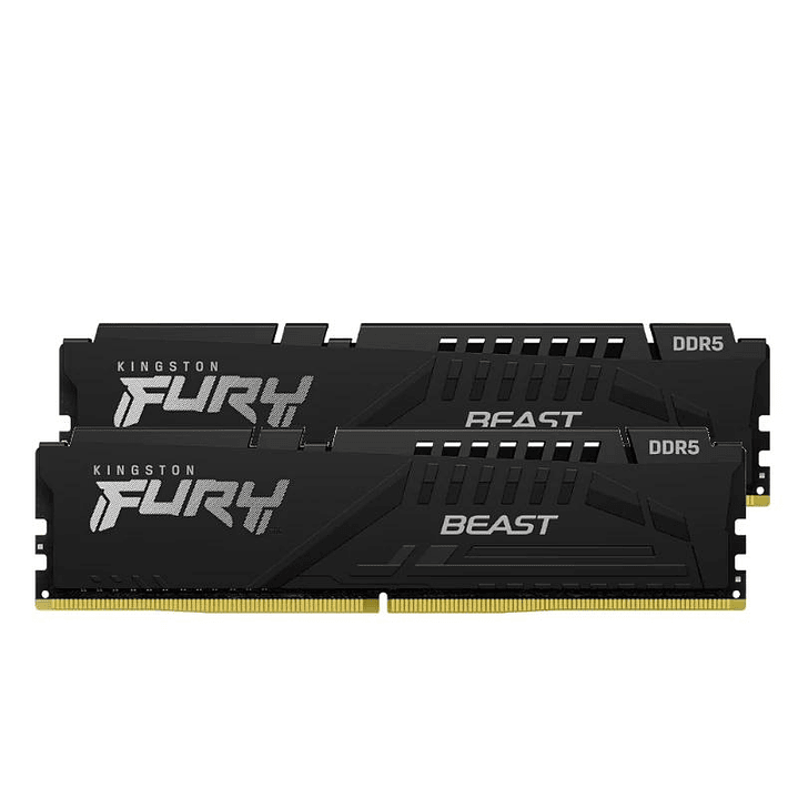 Kingston Fury Beast KF556C36BBEK2-32 DDR5 5600 1