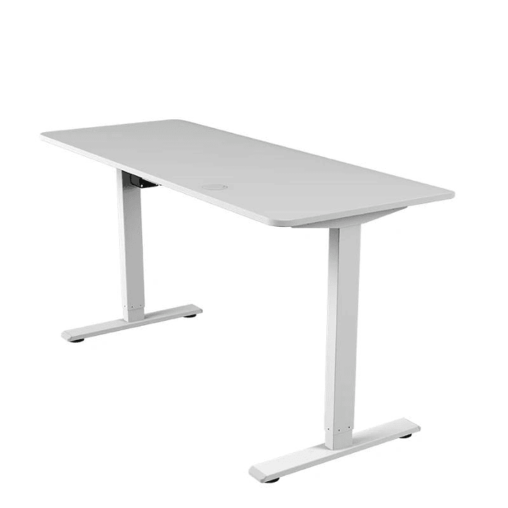 Cougar Mesa Royal Mossa 150 White eléctrica 4