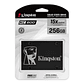 Kingston SKC600/256G SSD NAND TLC 3D 2.5