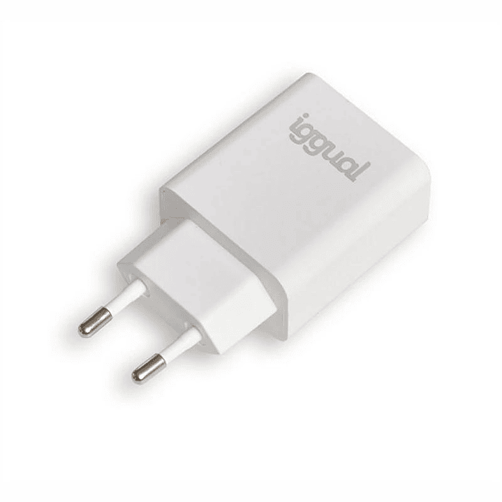 iggual Cargador rápido USB PD tipo C 20W 3