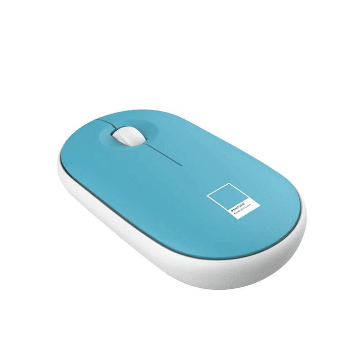 Celly Kit Sleeve Pantone + raton 15,6