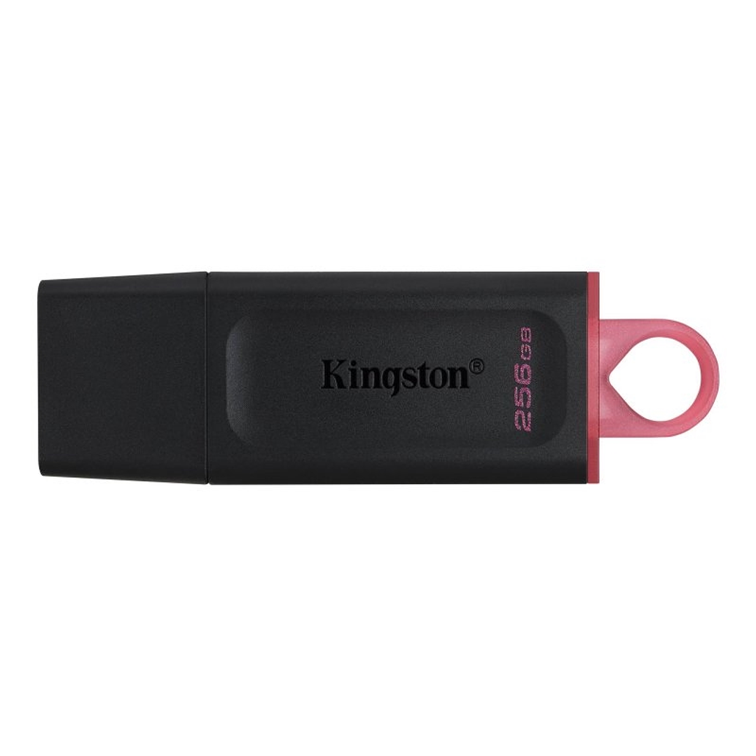 Kingston DataTraveler DTX 256GB USB 3.2 Gen1 Negro 1