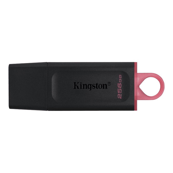 Kingston DataTraveler DTX 256GB USB 3.2 Gen1 Negro 1