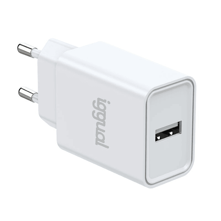 iggual Cargador de pared 1xUSB 5V/2.4A (12W) 3