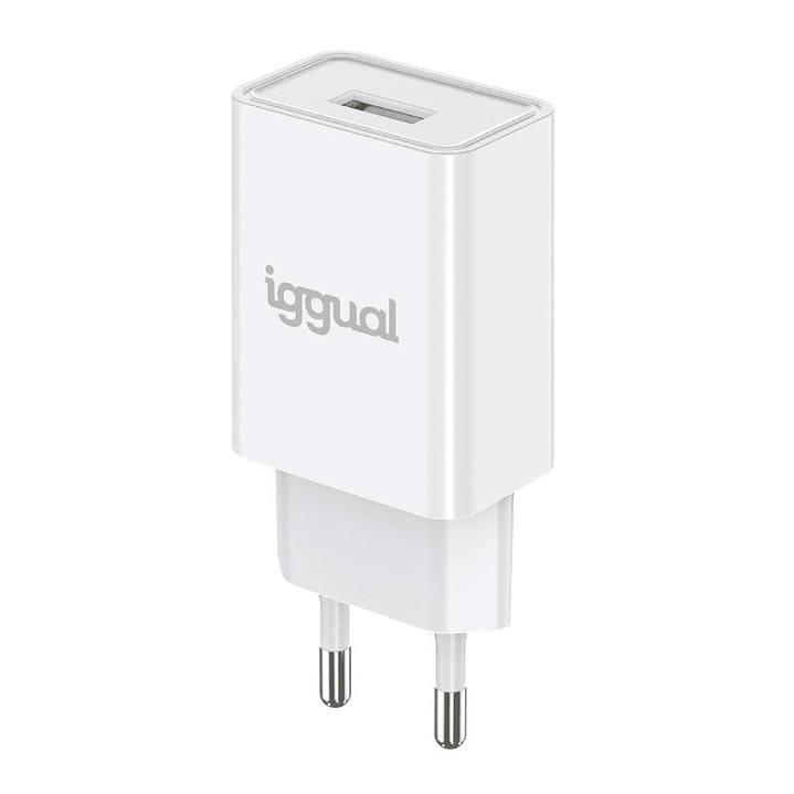 iggual Cargador de pared 1xUSB 5V/2A (10W) 3