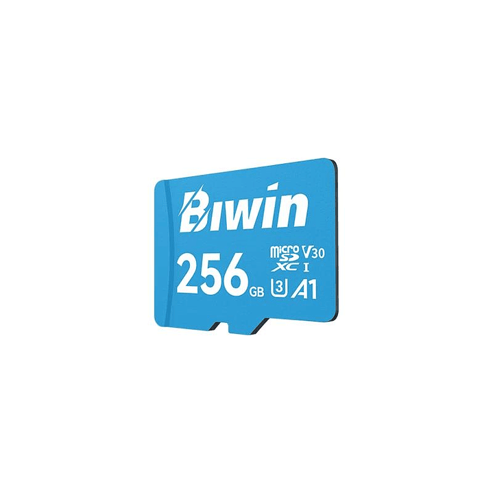 Biwin MS100 microSDXC UHS-1 256GB C10 U3 V30 A1 2