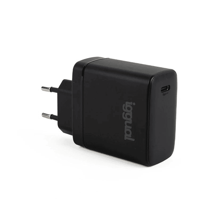 iggual Cargador rápido USB PD tipo C 45W GaN 1
