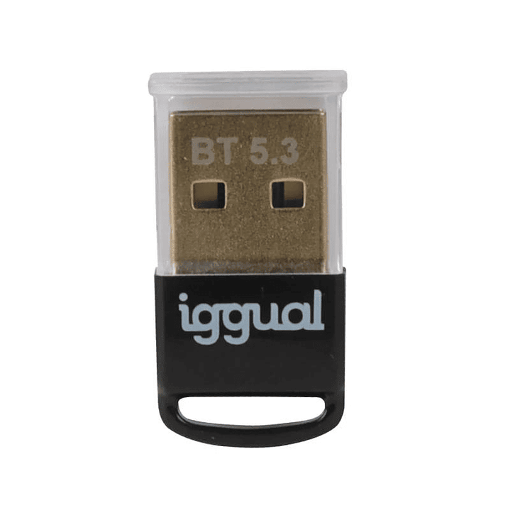iggual Adaptador USB 2.0 mini Bluetooth 5.3 2