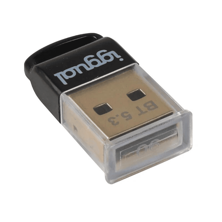 iggual Adaptador USB 2.0 mini Bluetooth 5.3 4