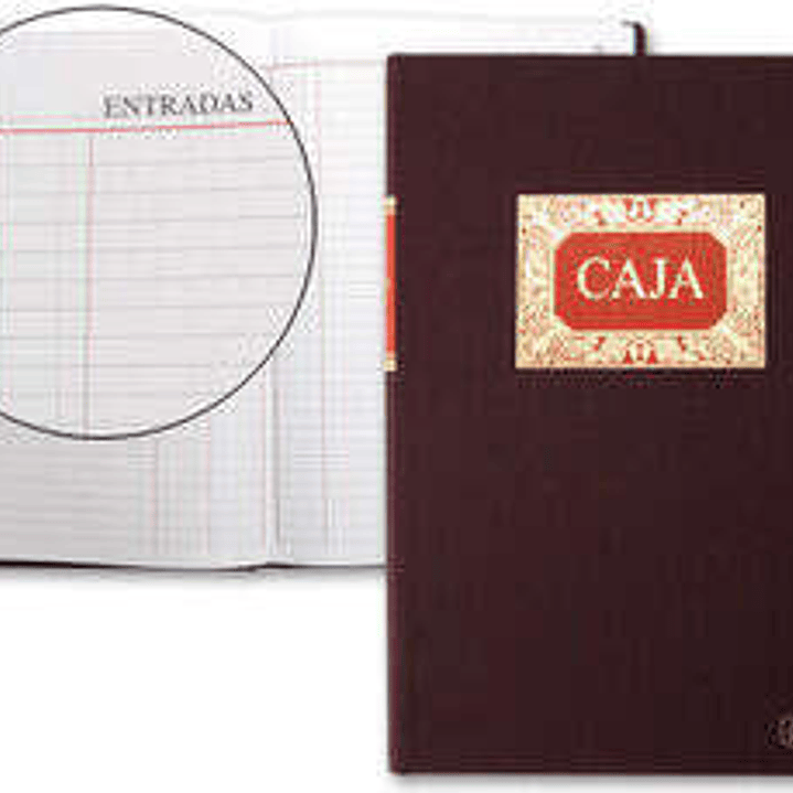 Miquel Rius Libro de Caja M.D con Entradas y Salidas - Tamaño Folio Natural - 100 Hojas - Forrado en Tela - Detalles en Stamping - Corte de Color Azul 1