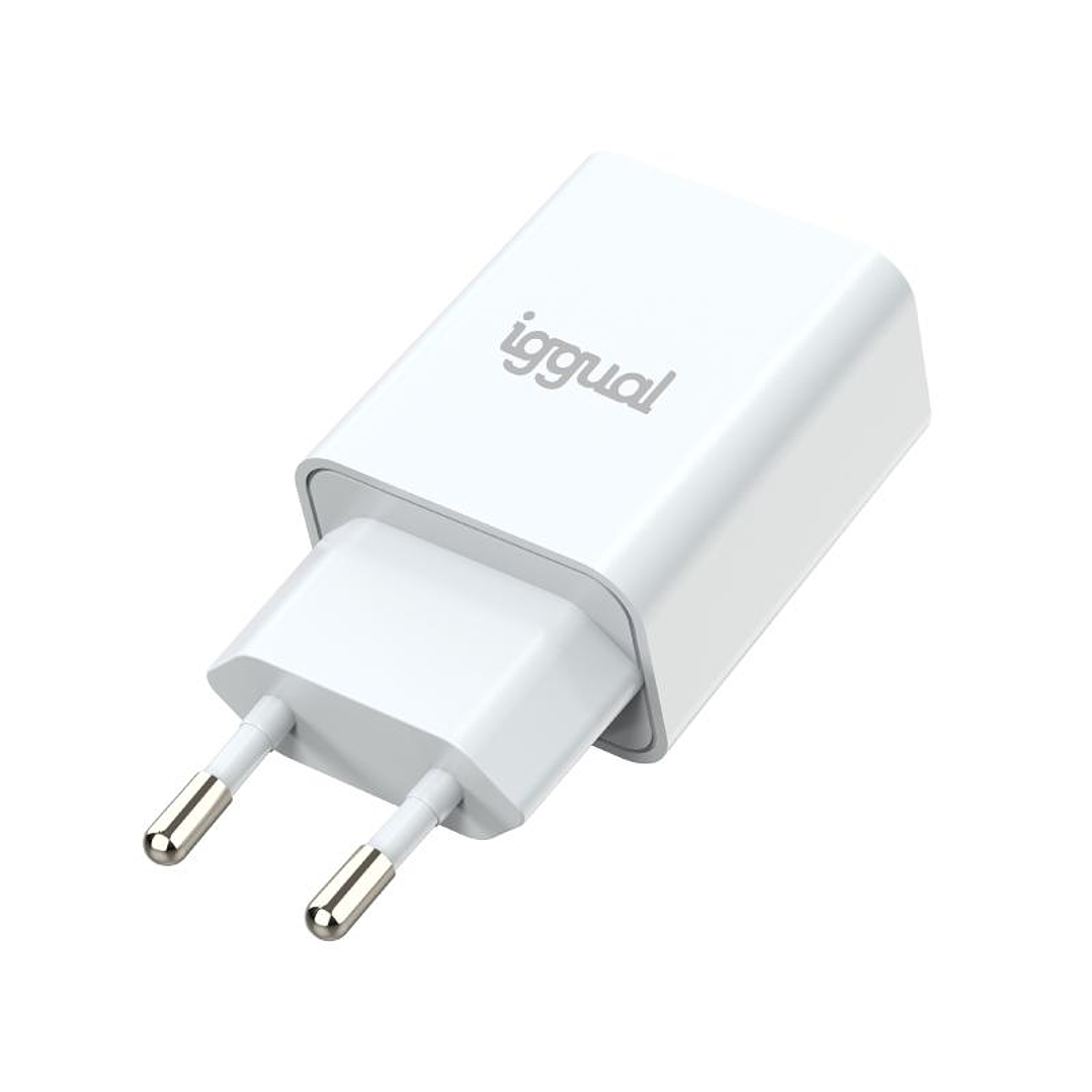 iggual Cargador de pared 1xUSB 5V/2.4A (12W) 1