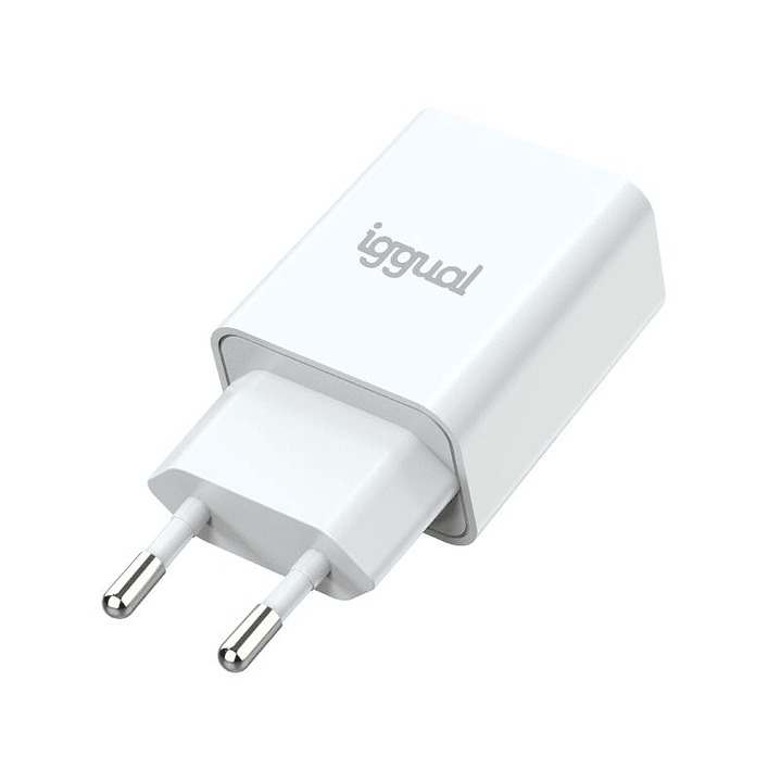iggual Cargador de pared 1xUSB 5V/2.4A (12W) 1