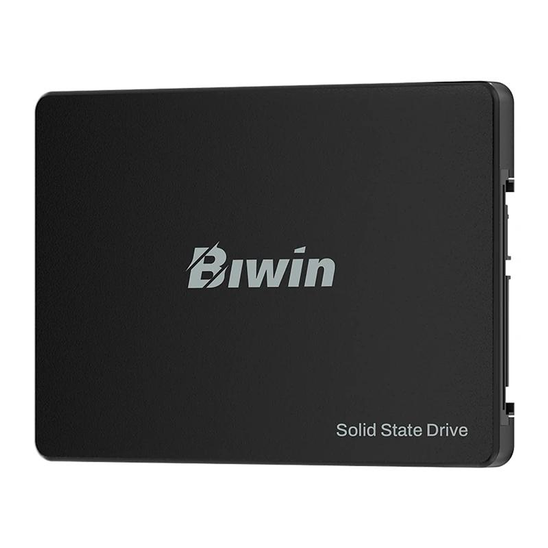 Biwin M100 SSD 256GB 2.5