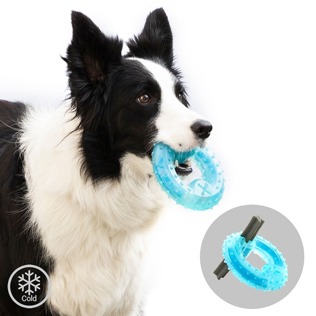 Innovagoods Glubiz Juguete Mordedor Congelable para Mascotas 2 en 1 - Caucho Termoplastico - Resistente y Duradero - Efecto Frio - Facil Limpieza - 12 1