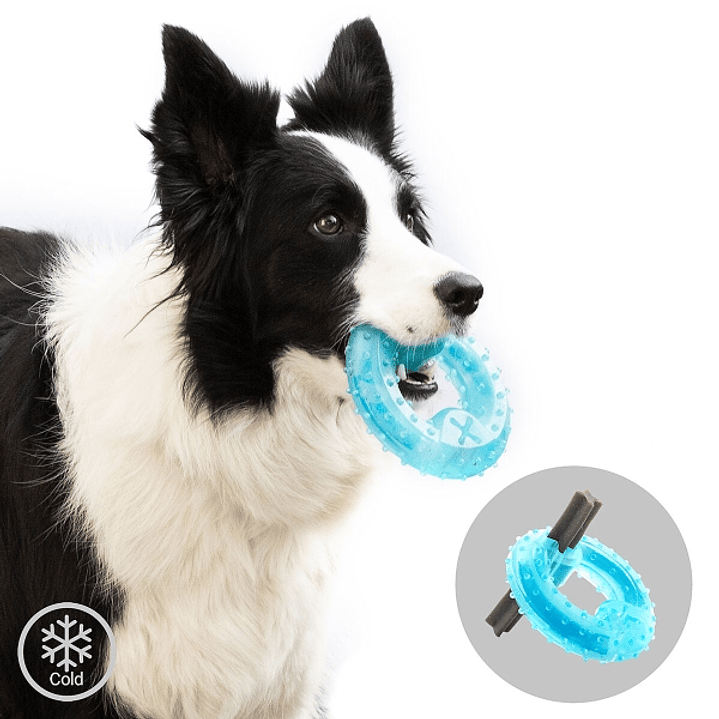 Innovagoods Glubiz Juguete Mordedor Congelable para Mascotas 2 en 1 - Caucho Termoplastico - Resistente y Duradero - Efecto Frio - Facil Limpieza - 12 1