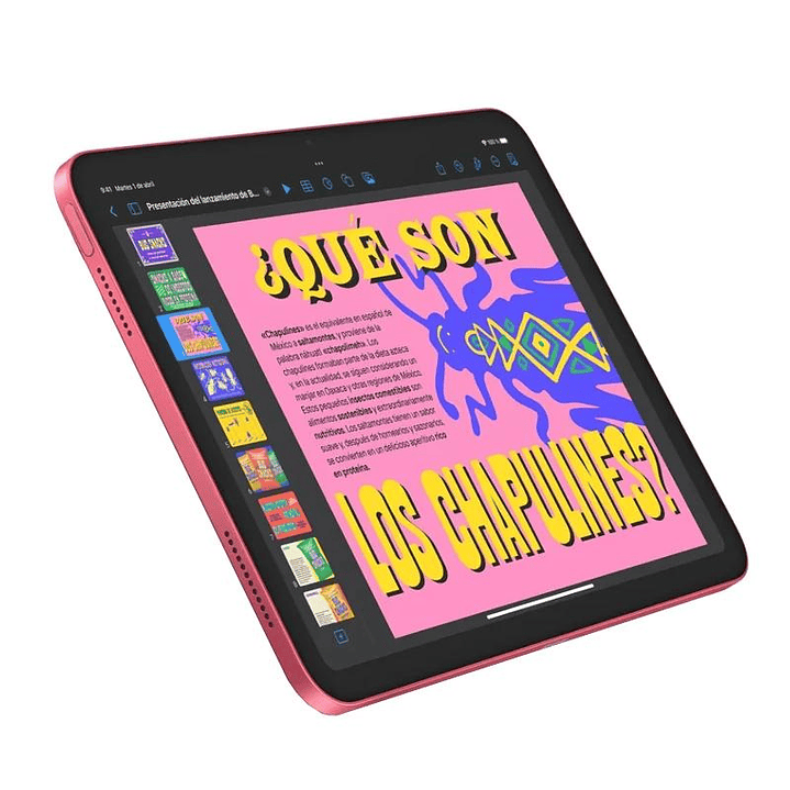 Apple IPAD WIFI 256GB PINK 3