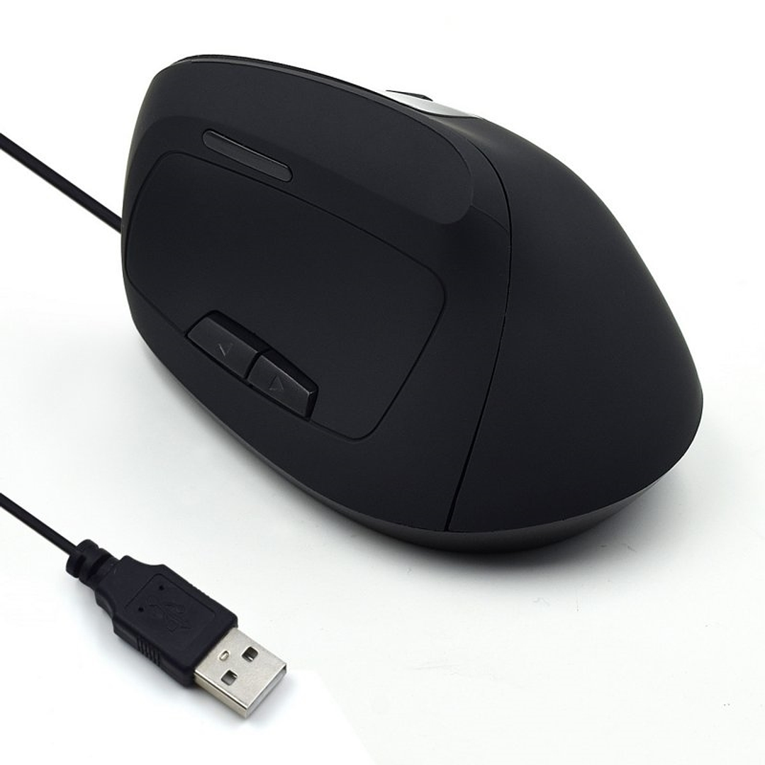 Ewent EW3157 Ratón óptico Vertical Usb 2.0 1
