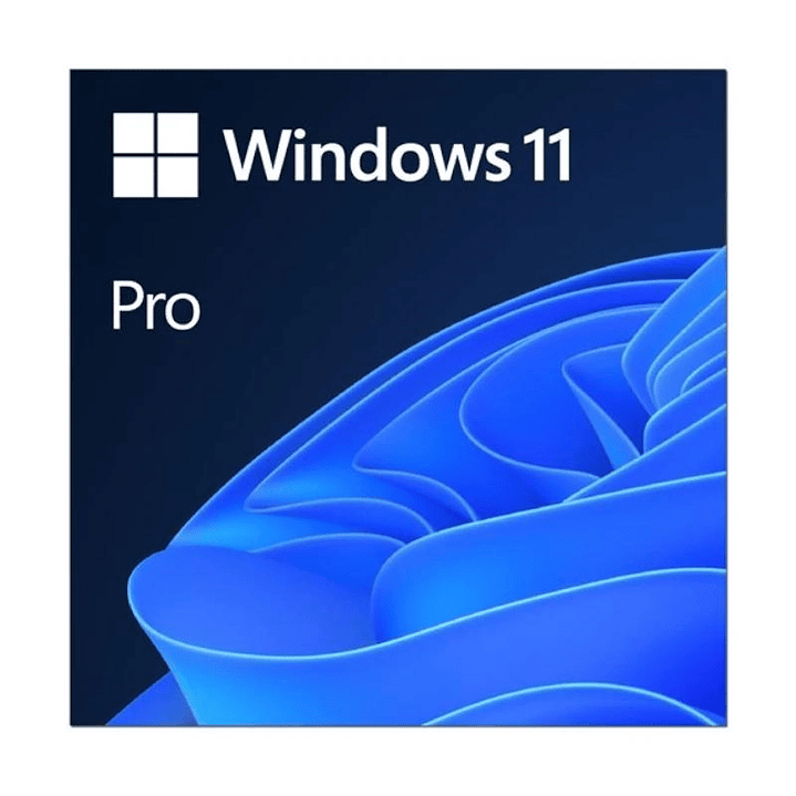 Microsoft Windows 11 Pro 64b  ESD 1