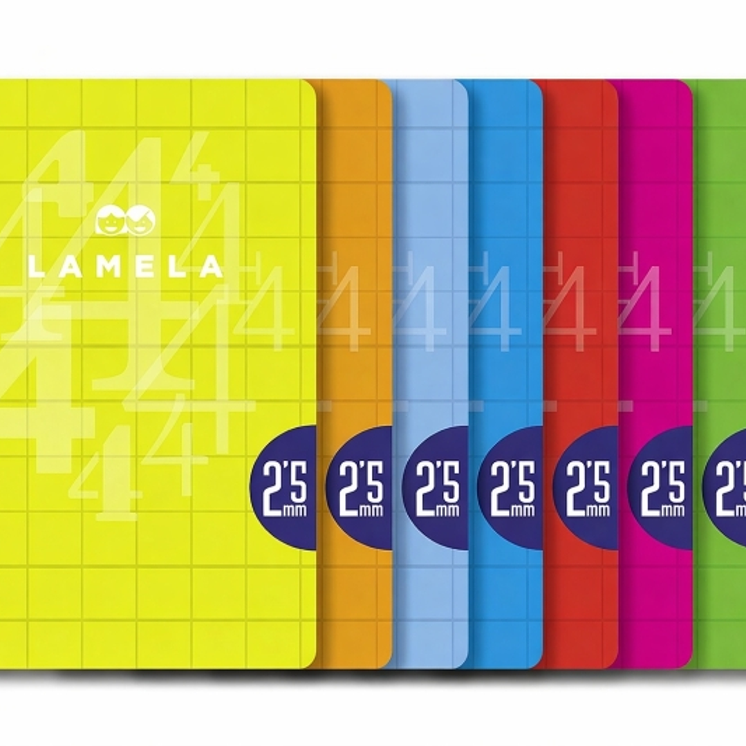 Lamela Pack de 10 Libretas Grapadas con 50 Hojas de 90g/m2 con Margen - Formato A4 - Pauta Cuadrovia de 2.5mm - Cubierta de Cartoncillo Plastificado - 1