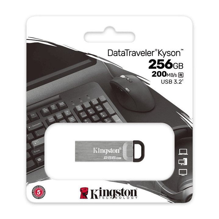 Kingston DataTraveler DTKN 256GB USB 3.2 Gen1 Plat 3