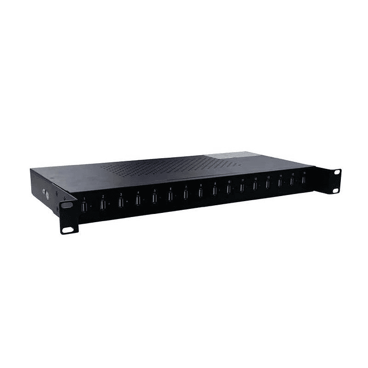 2LAN PDU 16 PUERTOS USB 2,1A, Potencia maxima 460W 1