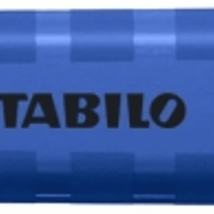 Stabilo Swing Cool Naturecolors Wildflower Marcador Fluorescente - Cuerpo Plano - Punta Biselada - Trazo entre 1 y 4mm - Tinta con Base de Agua - Anti 1