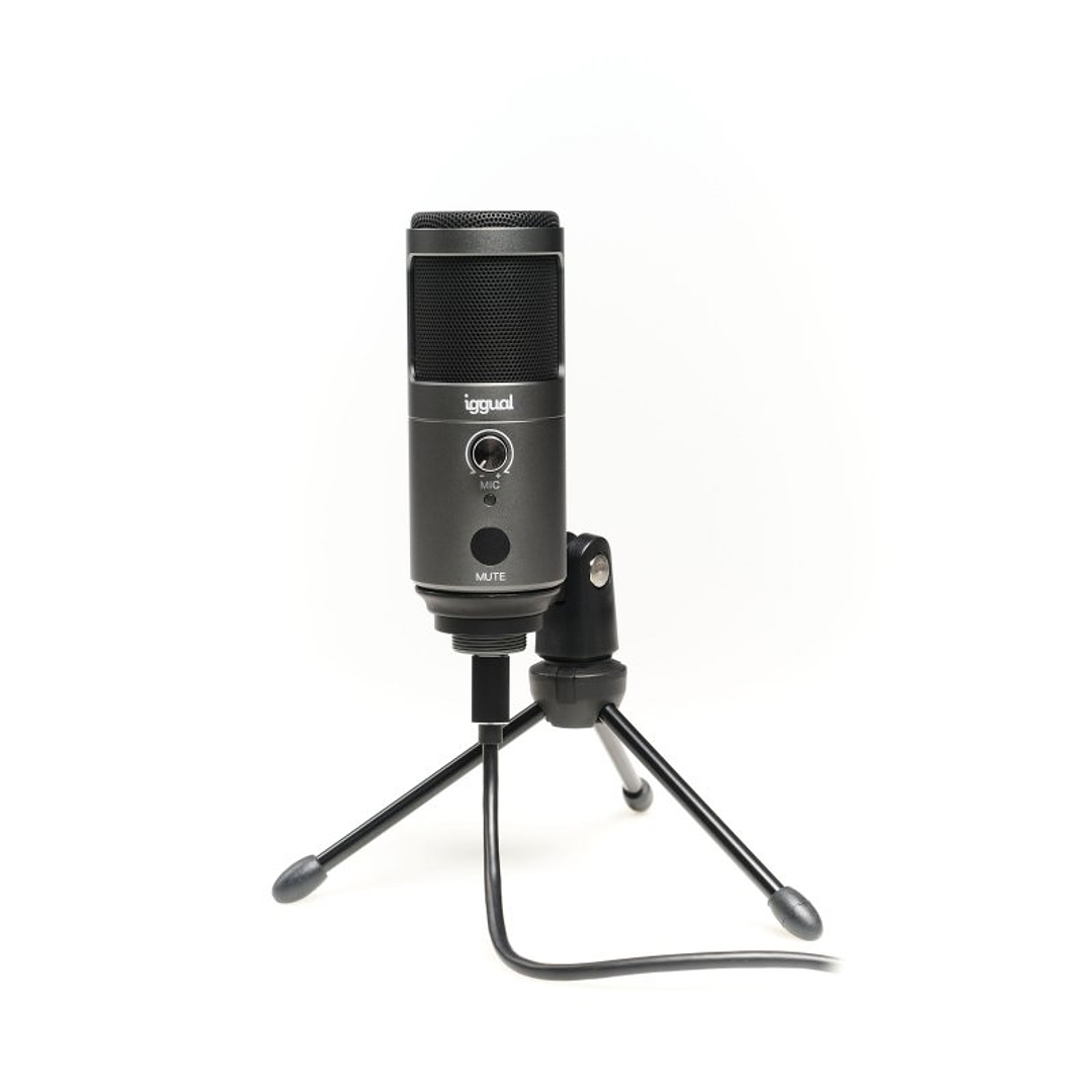 iggual Micrófono condensador Podcasting Pro gris 1