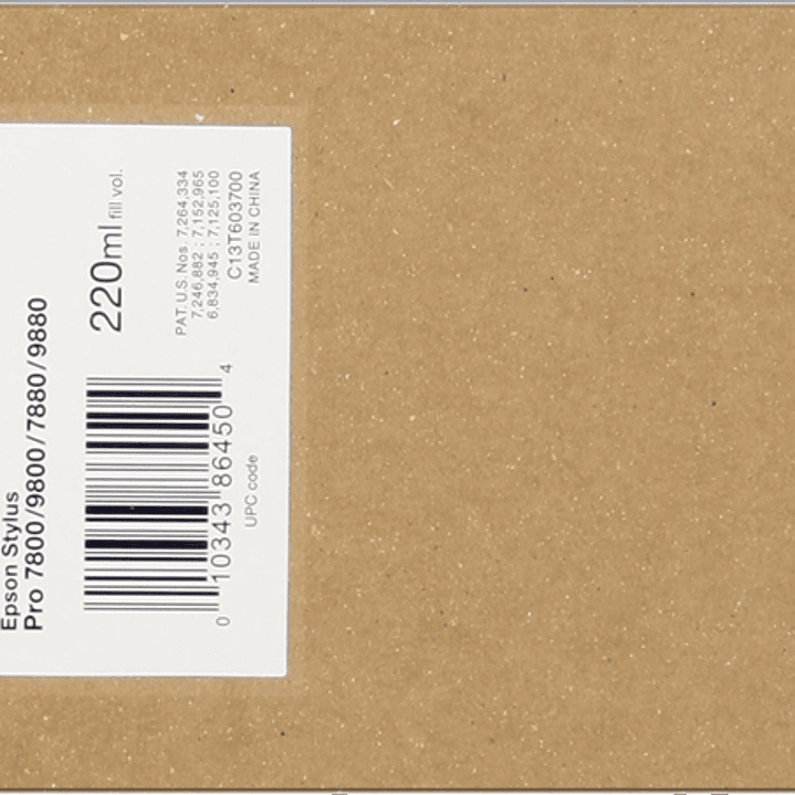 Epson T6037 Negro Light Cartucho de Tinta Original - C13T603700 1