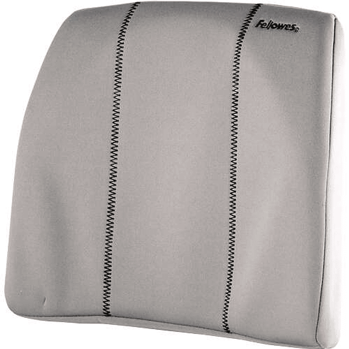Fellowes Smart Suites Respaldo de Espuma Ergonomico - Espuma de Alta Densidad - Correa Ajustable - Color Gris 1