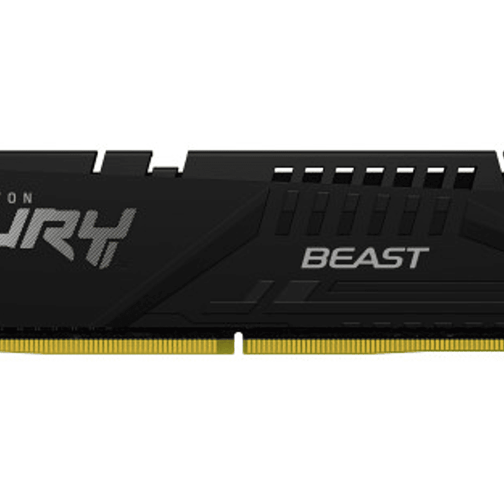 Kingston Fury Beast Black Expo Memoria RAM DDR5 6000MT/s 16GB 1.4V CL30 DIMM 1