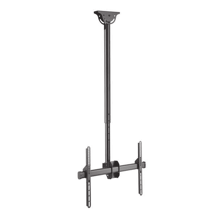 Aisens Soporte de Techo Giratorio - Inclinable - Extensible y Nivelable (TV 37-70) - Color Negro 1