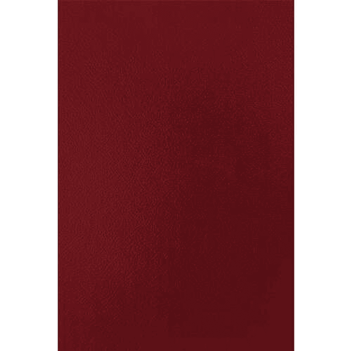 Fellowes Pack de 50 Portadas de Carton Simil Piel A4 - 750 gr - Color Rojo 1