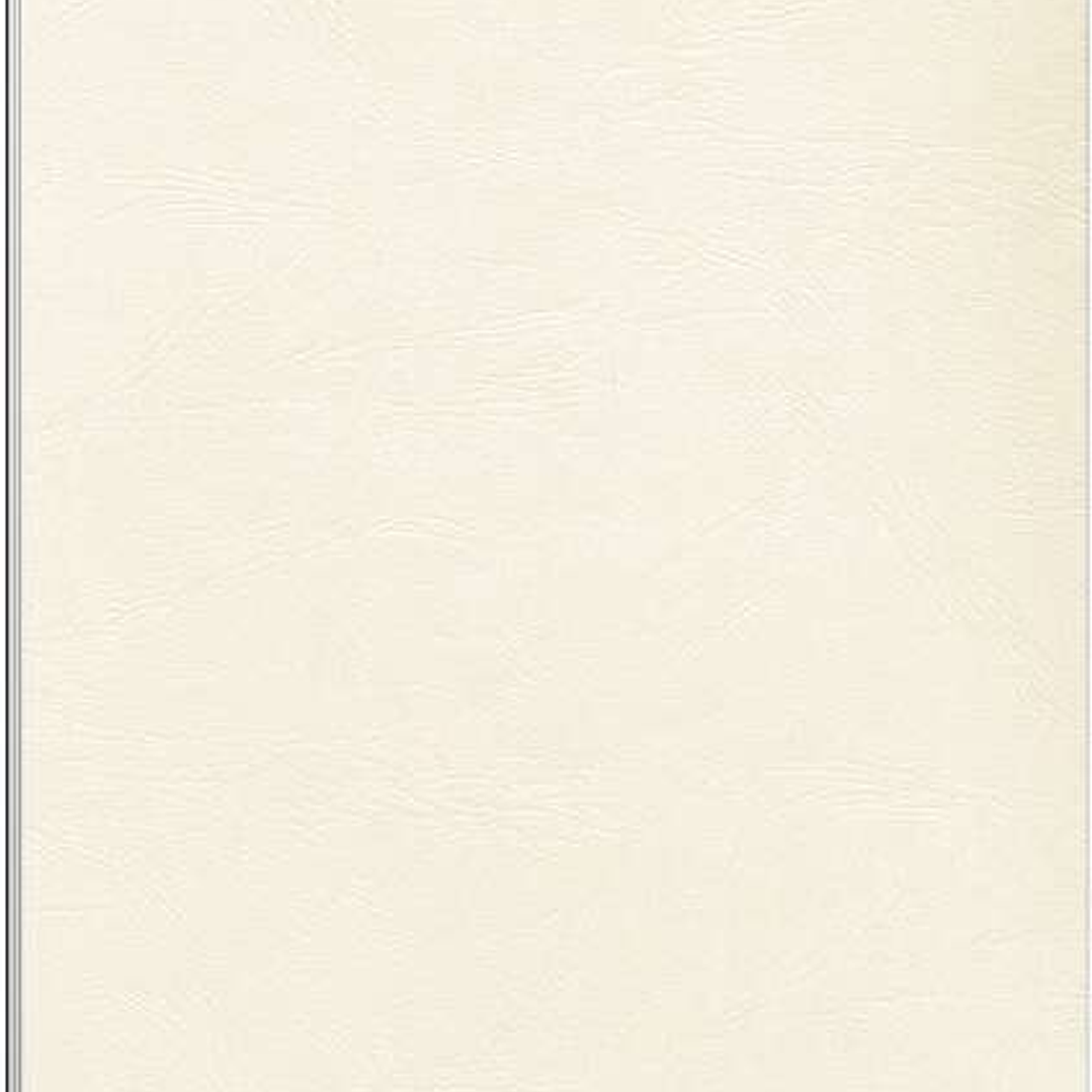 Fellowes Pack de 100 Portadas de Carton Simil Piel Delta Cuero A4 - 250 gr - Color Marfil 1