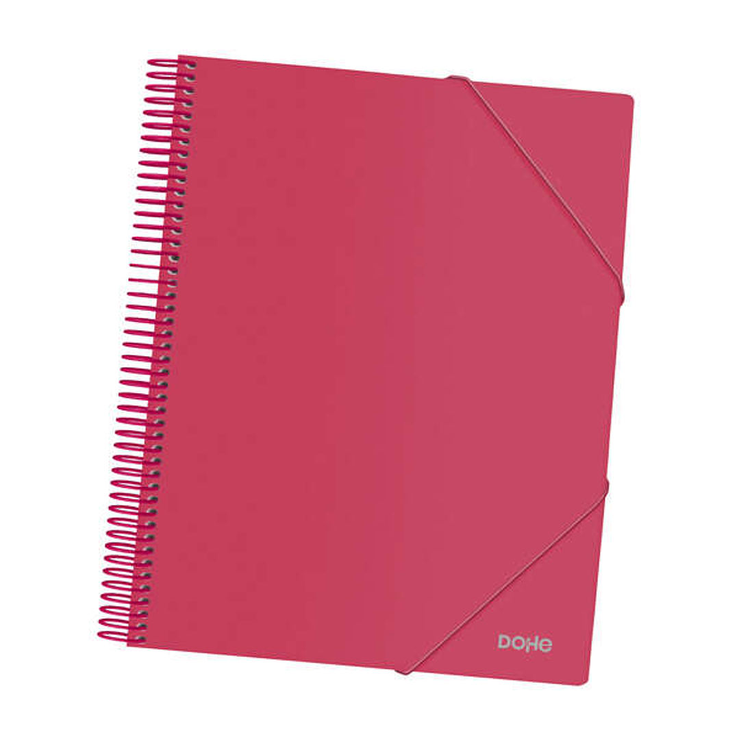 Dohe Carpeta con 30 Fundas Tamaño A4 - Tapa de Polipropileno Opaco 800 Micras - Fundas Transparentes 80 Micras - Espiral de Plastico Color - Gomas Ela 1