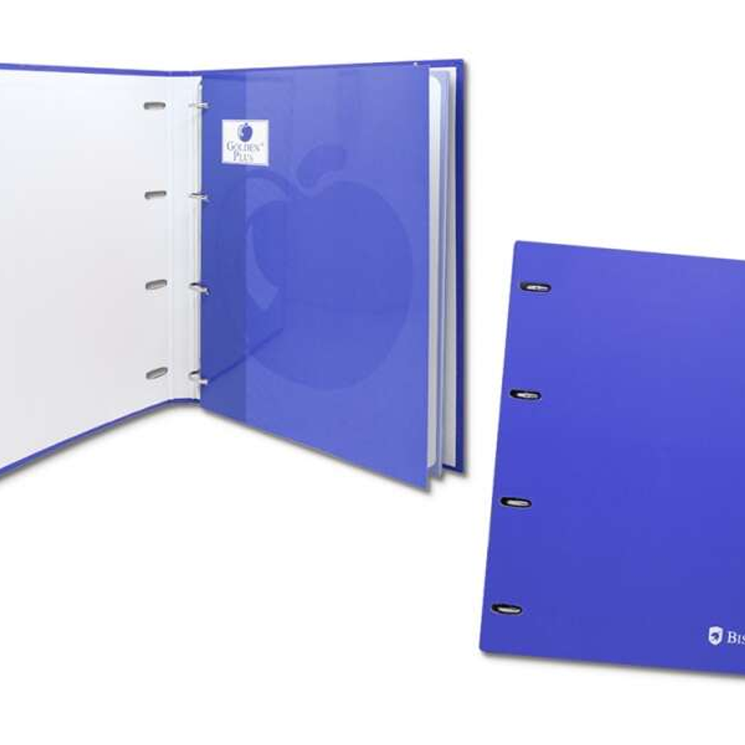 Bismark Carpeta de 4 Anillas con 80 Hojas Cuadricula 4x4 - Formato A4 - Fabricada en Carton - Color Azul 1