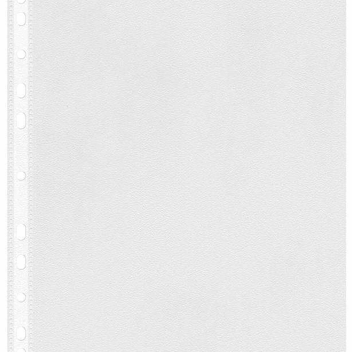 Esselte Pack de 100 Fundas Multitaladro A4 0,07mm - Abertura Superior - 11 Taladros - Acabado Rugoso Transparente 1